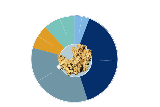 Shareholder Base Chart